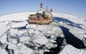 Ursul polar (Oceanul Arctic) urs polar