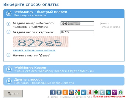 Rapid wm plata comerciant, totul despre WebMoney (WebMoney) Rapid comerciant wm de plată, despre WebMoney