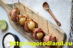 cartof alimentară (calup de cartofi) feluri de mâncare de cartofi