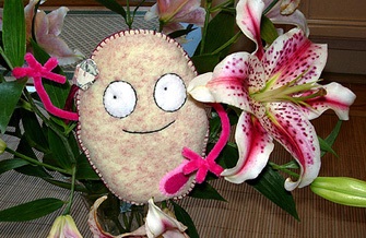 Fii sănătos (corpul are citomegalovirus) fii sănătos