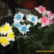 Buchet de trandafiri un buchet crenguță cu mâinile lor (cursuri Florarii) Buchet de trandafiri un buchet de crenguță cu mâinile lor