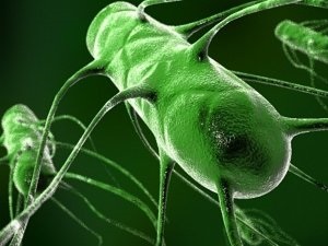 cefalosporine generația a 3-a (lista de medicamente) (preparate) cefalosporinele 3-a generație (listă de preparate)