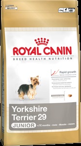Feed Yorkshire terrier (York hranei pentru animale) Ce la Feed Yorkshire Terrier