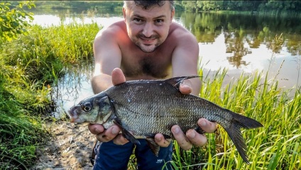 Momelile de pește în iulie (bun Peck mare) Momelile de pește în iulie