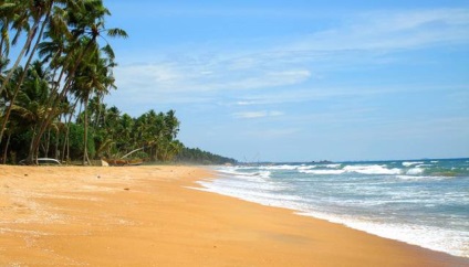 Ce se poate face cu ei înșiși pe o vacanță în Wadduwa (de vacanță) Ce se poate face cu ei înșiși pe o vacanță în Wadduwa