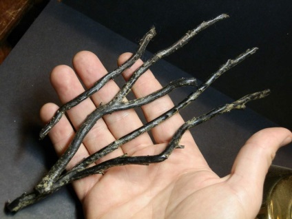 corali negre bijuterie subacvatice (negru) corali negru comori subacvatice