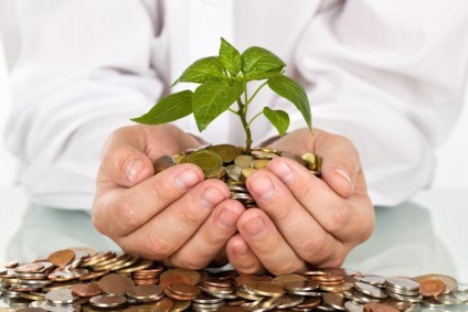 Net Conceptul de investiții, formula, obiectiv (țintă) Conceptul net de investiții, formulă, gol