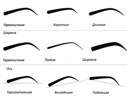 Culoarea și forma sprâncenelor pentru tatuaj modul de a alege o fotografie (formularul) Culoarea și forma sprâncenelor pentru modul de a alege fotografiile tatuaj
