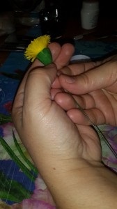 Florile de argila polimer - păpădie (partea 1) (păpădie) Florile de argila polimer - păpădie (partea 1)