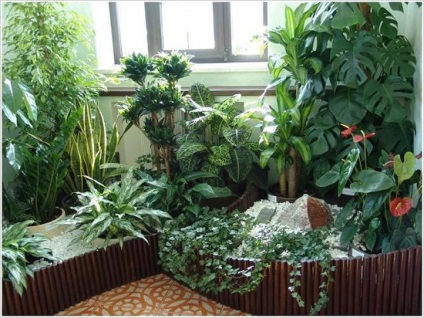 Flori de pe balcon pe tot parcursul anului, 13 poze de balcoane cu flori, îngheț alegere și plante ample (grădină de iarnă pe fotografie logie) Flori de pe balcon pe tot parcursul anului, 13 poze de balcoane cu flori, îngheț alegere și plante ample