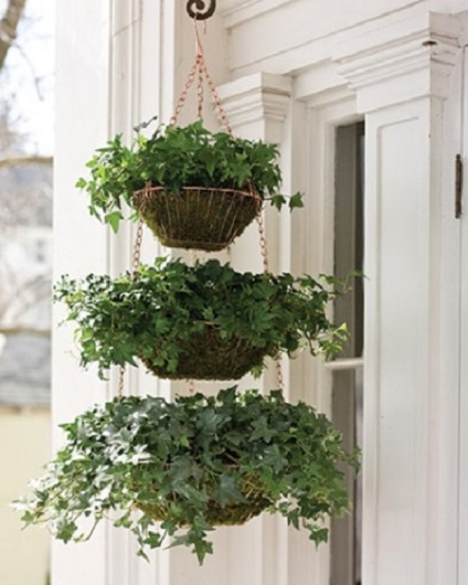 Flori de pe balcon pe tot parcursul anului, 13 fotografii de balcoane cu flori, îngheț alegere și plante ample (flori) Flori de pe balcon pe tot parcursul anului, 13 poze de balcoane cu flori, îngheț alegere și plante ample