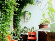 Flori de pe balcon pe tot parcursul anului, 13 poze de balcoane cu flori, îngheț alegere și plante ample (flori pe balcon, în casetele) Flori de pe balcon pe tot parcursul anului, 13 poze de balcoane cu flori, îngheț alegere și plante ample