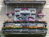 Flori de pe balcon pe tot parcursul anului, 13 poze de balcoane cu flori, îngheț alegere și plante ample (gradina de iarna pe balcon) Flori de pe balcon pe tot parcursul anului, 13 poze de balcoane cu flori, îngheț alegere și plante ample