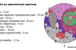 Flori pe un pat pentru leneși (leneș) Flori pe un pat pentru leneș