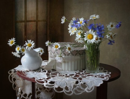flori Daisy fotografie (50 poze) (musetel) flori Daisy fotografie (50 poze)