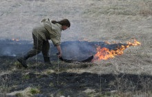 Senzori de curgere a apei - pentru cazan pe gaz și pompei, UPA 120 și altele, prețul acestora (conductă) Senzori de debit de apă - pentru cazan de gaz și pompei, UPA 120 și altele, prețurile lor