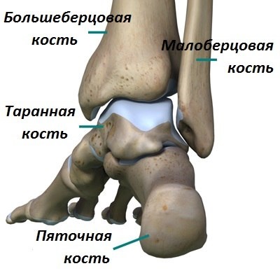 Deformând artroza articulației gleznei