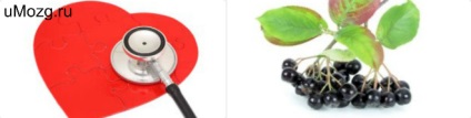 căi de atac vascular cerebral Distonia tratament popular (distonie) Distonie tratament cerebrovasculare remedii populare