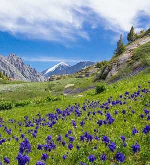 Turistic Munții Altai (Altai) Peisaje Munții Altai
