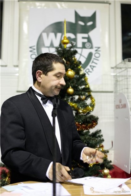 Experții WCF (care cauzează membrii perturbatii) experţii WCF