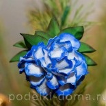 jucării de Crăciun, cu propriile lor mâini, o cutie de idei și ateliere (jucării) jucării de Crăciun, cu propriile lor mâini, o cutie de idei și ateliere