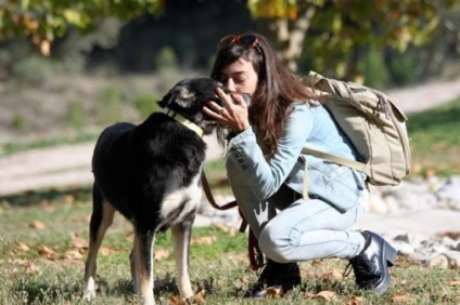 Această nefericită - pietrificat - câinele nu a crezut că ea ar iubi pe cineva (câine) Această nefericită - pietrificat - câinele nu a crezut că ea ar iubi pe cineva