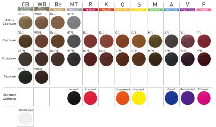 Fitolaminirovanie Lebel păr luquias, paleta, preț real în (paleta de păr fitolaminirovanie Lebel) salon Fitolaminirovanie Lebel păr luquias, paleta, preț real în cabină