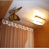 Copiator fluturi pe plafoane (fluture) imprimare foto pe tavane intinse fluture