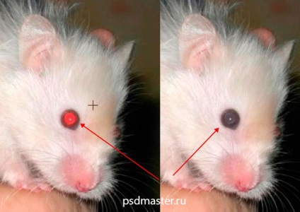 instrumente Photoshop - patch-uri și ochi roșii (Photoshop) instrumente Photoshop - patch-uri și roșu ochi