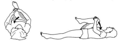 fotbalul european, exerciții de întindere (stretching pentru fotbal) fotbalul european, exerciții de stretching