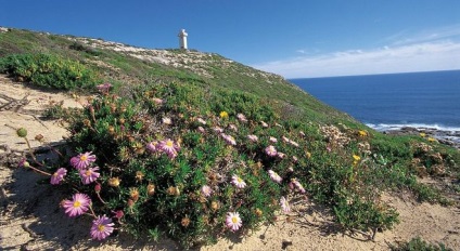 Unde altundeva este o peninsulă în formă de cizmă, cu excepția Italiei (de boot) Unde altundeva este o peninsulă în formă de cizmă, cu excepția Italiei