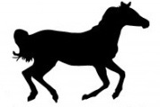 Anul de caracteristici și compatibilitatea calului (compatibilitate) Anul de caracteristici și compatibilitatea calului