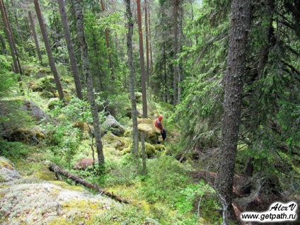 Mount Vottovaara (Vottovaara) în Karelia (Vottovaara) Mount Vottovaara (Vottovaara) în Karelia