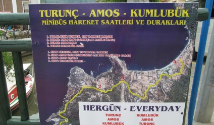 Turunc (Amos accesibil) Turunc