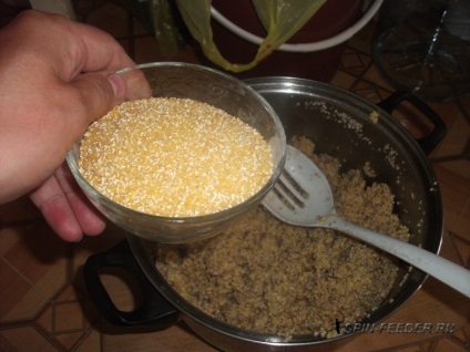 Gătit nada pe plătică - salapinskuyu gatiti terci (gatiti) Gătit nada pe plătică - găti salapinskuyu terci