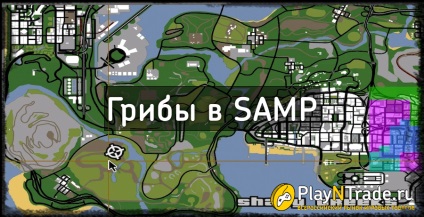 Ciuperci în SAMP (colector) (ciuperci) carter Ciuperci în SAMP (sump)