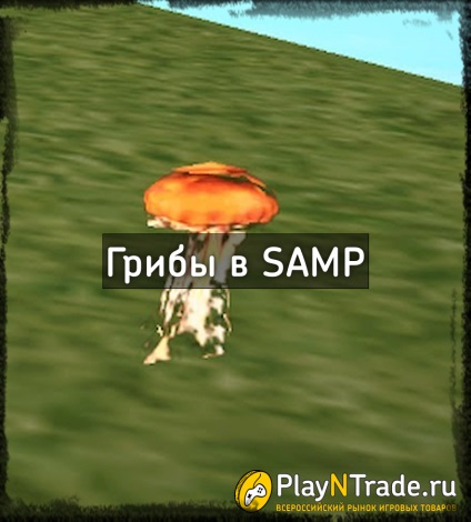 Ciuperci în SAMP (colector) (fungi) Ciuperci în SAMP (sump)