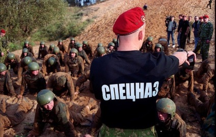 Istoria și versiuni ale berete militare (60 poze) (culoare maro Maroon) Istoria și versiuni ale berete militare (60 poze)