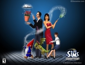 Istoricul de sims (adiție) Istoricul de sims