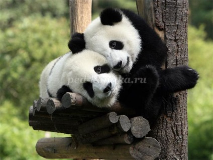 Metoda de producție panda origami (panda metoda de fabricație) Metoda de fabricație panda origami