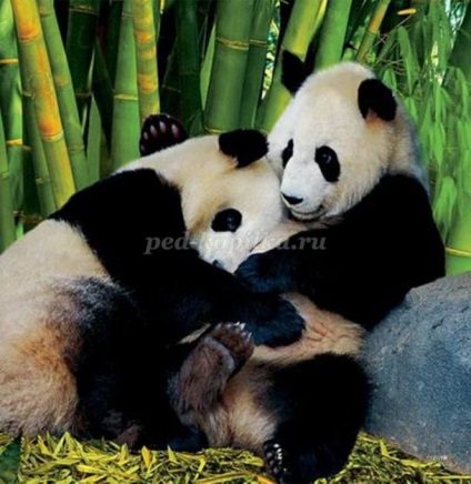 panda Metoda de producție Origami (panda) Metoda de fabricație panda origami