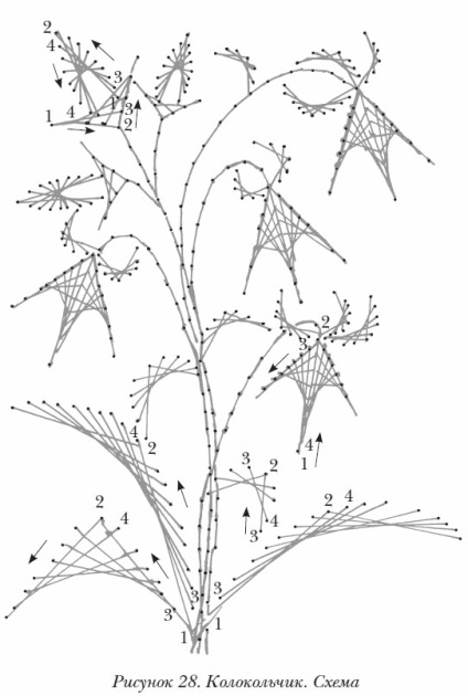 schema de Izon cu cifre pentru copii - flori, animale (etapa microni furnizat) (schema Izon cu numere) schema de Izon cu cifre pentru copii - flori, animale (Etapa u atașat)