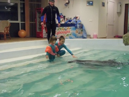 Delfinii trata oamenii rezultatele cercetării (tratament Dolphin Research) Delfinii trata oamenii rezultatele cercetării