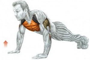 Cum de a construi muschii pieptului cu ajutorul push-up-uri (pentru a pompa mușchii pectorali) Cum de a construi muschii pieptului cu push-up-uri