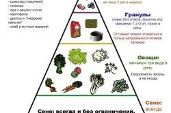 Care este cel mai bun fân pentru iepuri (mai bună) Care este cel mai bun fân pentru iepuri