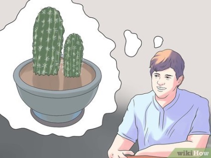 Ca cactus transplantat (perimetrul interior al vasului) Cum de transplant de un cactus