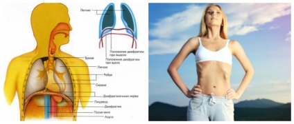 Cum de a pierde in greutate cu ajutorul exerciții de respirație Bodyflex - argumente pro și contra, tehnicile de bază, (Larissa Agapov) Cum de a pierde in greutate cu ajutorul exerciții de respirație Bodyflex - argumente pro și contra, tehnicile de bază,