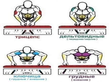 Cum de a face push-up-uri, sfaturi site-ul! (Tipuri de flotări) Cum de a face push-up-uri, sfaturi site-ul!