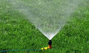 Cum de a planta de gazon de gazon semințe de iarbă cu propriile sale mâini (gazon) Cum de a planta de gazon de gazon semințe de iarbă cu propriile sale mâini