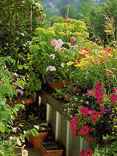 Cum de a plasa flori pe balcoane balcon grădinărit și loggii cu mâinile lor (de amenajare a teritoriului) Cum de a plasa flori pe balcoane balcon grădinărit și loggii cu mâinile lor